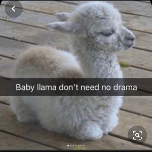 Meet your Posher, Isabelle